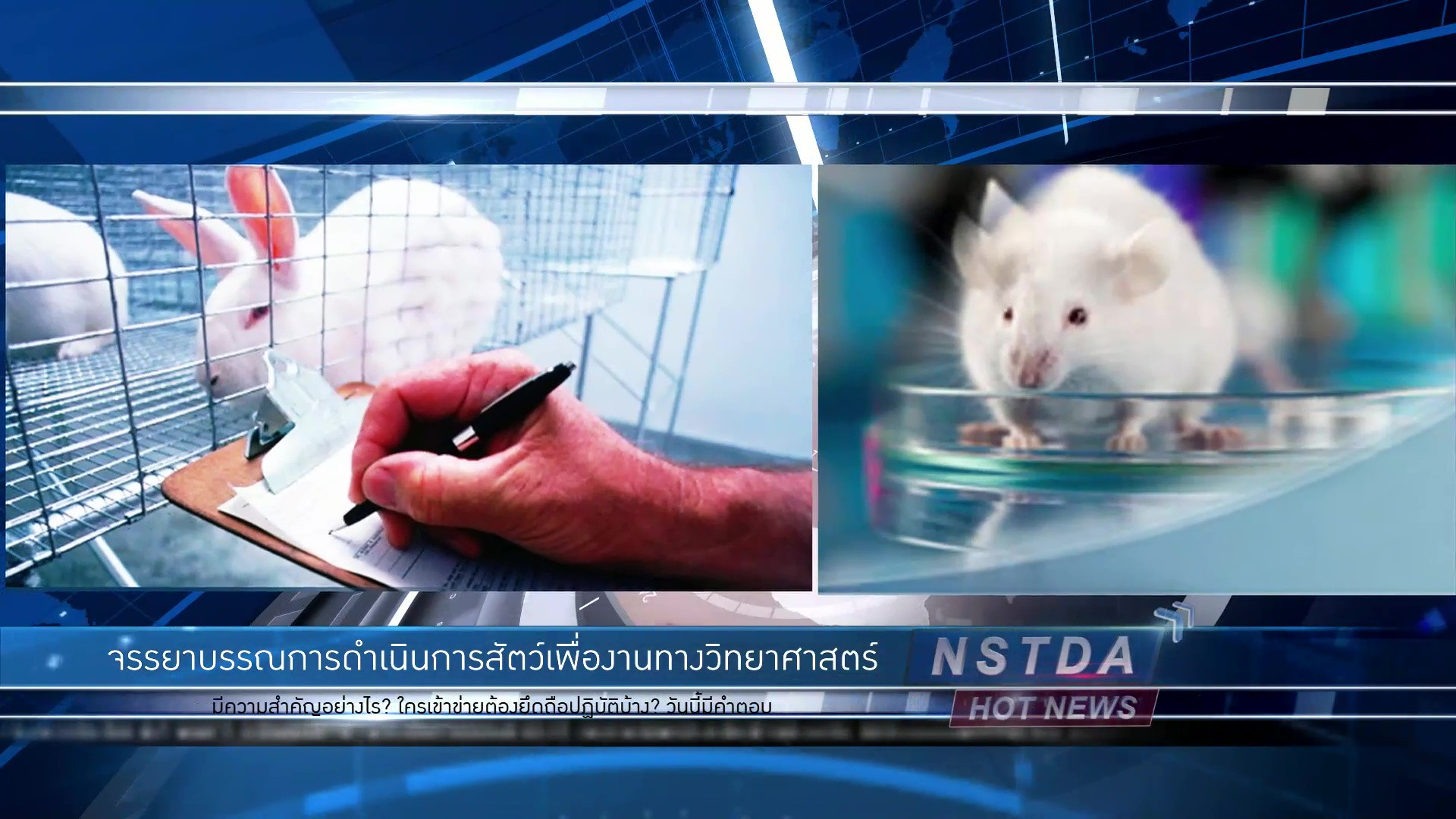 จรรยาบรรณการดำเนินการต่อสัตว์เพื่องานทางวิทยาศาสตร์